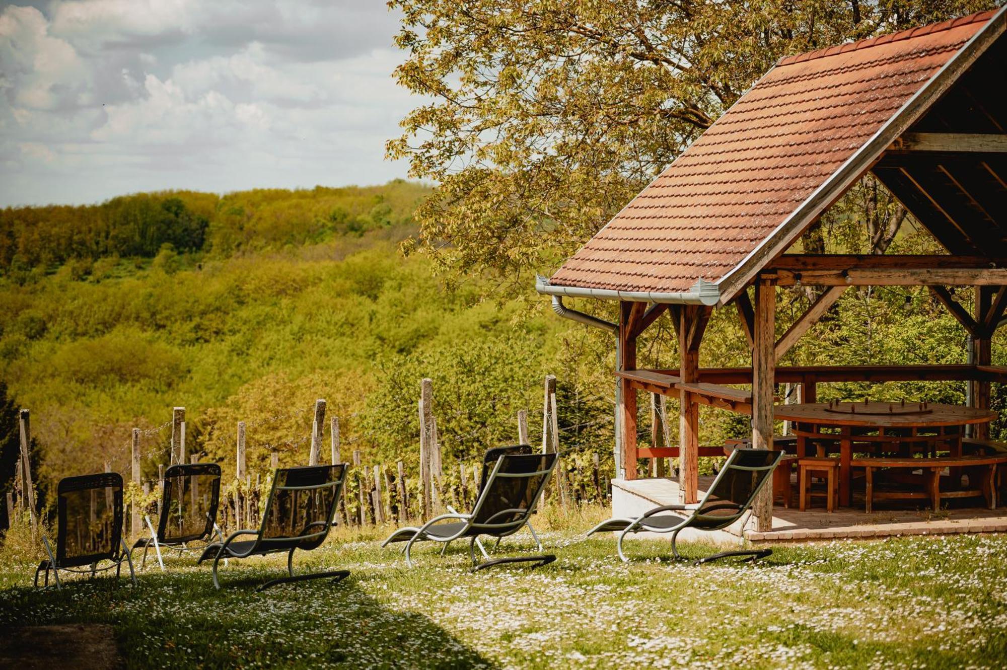 Foerhenc Wine House & Guesthouses I-Ii-Iii Nagykanizsa Εξωτερικό φωτογραφία